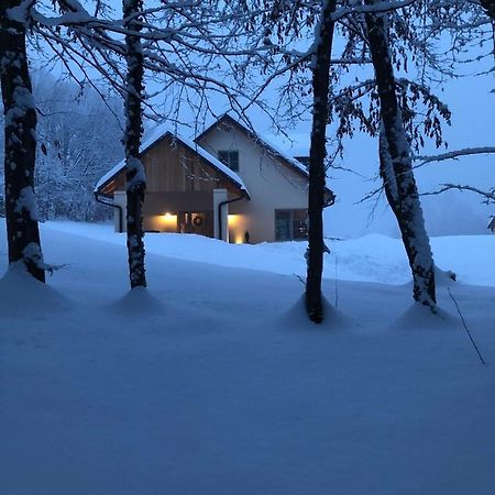 Loft Naturalpina Dolomiti Farm Belluno Eksteriør bilde