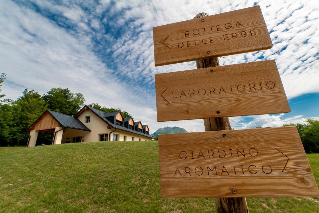 Loft Naturalpina Dolomiti Farm Belluno Eksteriør bilde