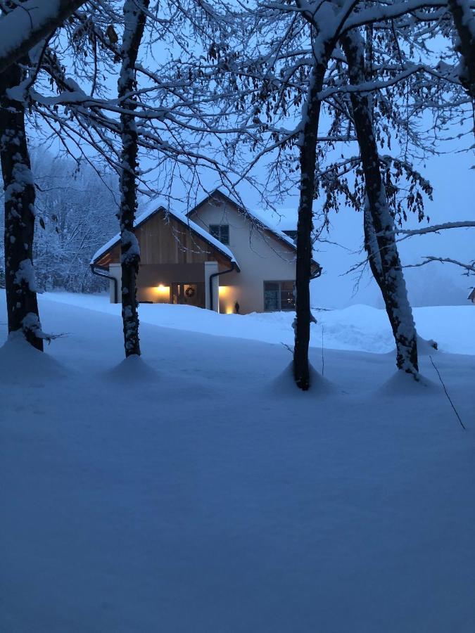 Loft Naturalpina Dolomiti Farm Belluno Eksteriør bilde