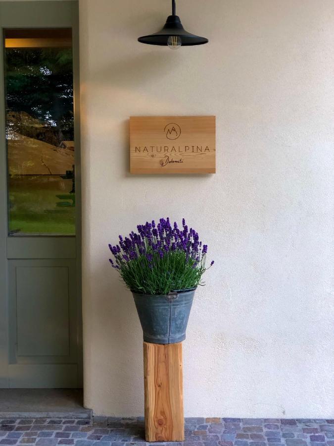 Loft Naturalpina Dolomiti Farm Belluno Eksteriør bilde