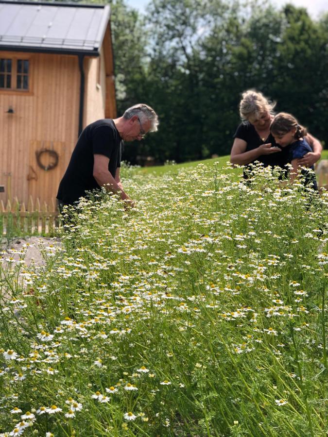 Loft Naturalpina Dolomiti Farm Belluno Eksteriør bilde