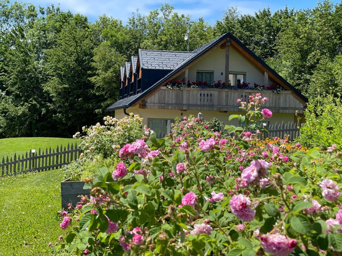 Loft Naturalpina Dolomiti Farm Belluno Eksteriør bilde